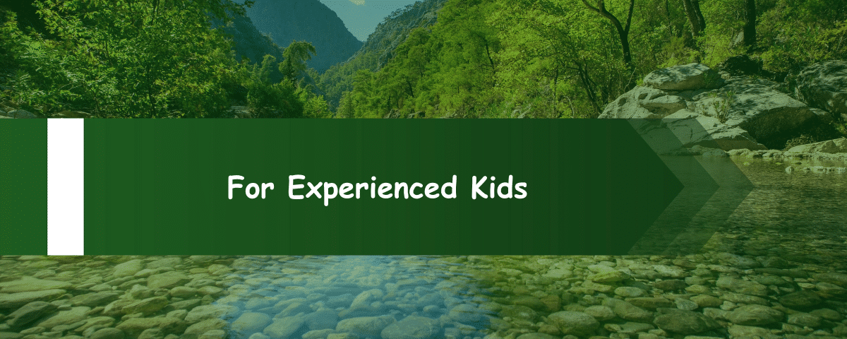 For Experienced Kids